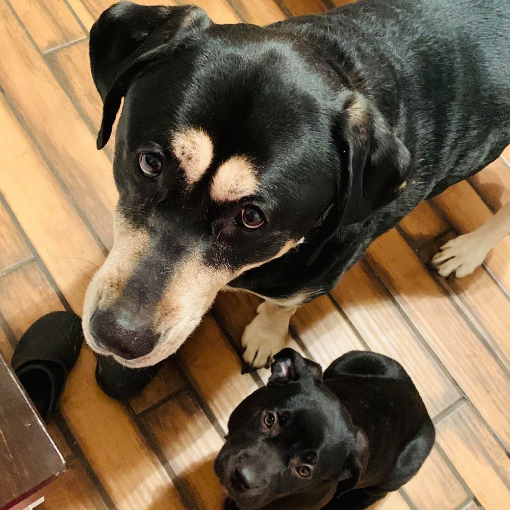 Meet your Posher, Laura